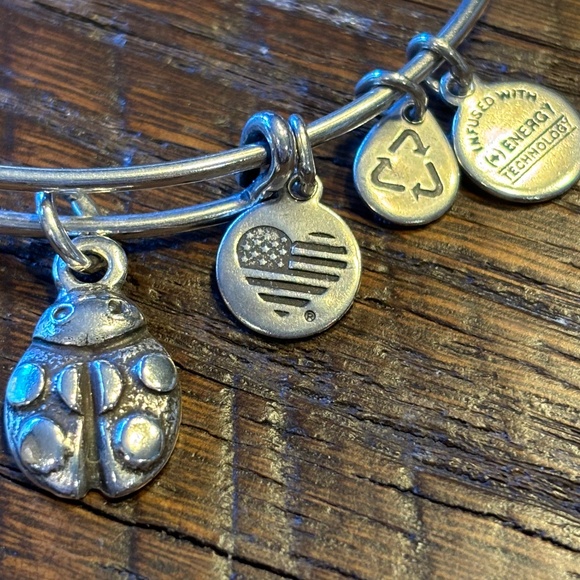 Alex & Ani Silver Ladybug Charm Bracelet - Picture 3 of 5